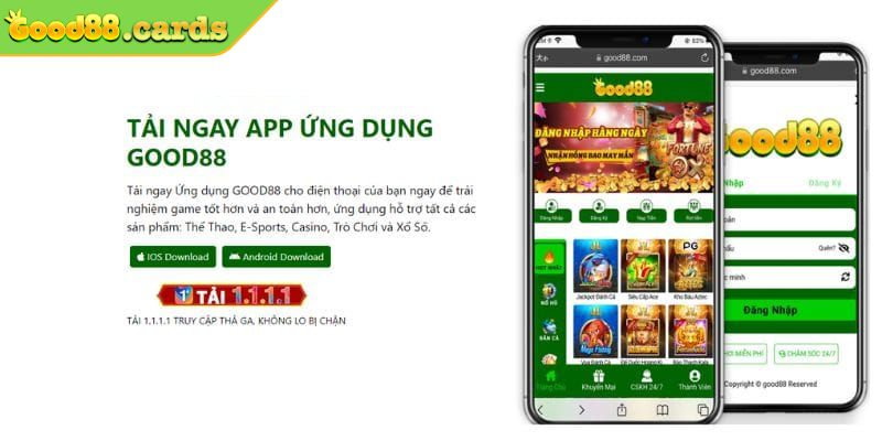 Tuân thủ điều khoản sử dụng